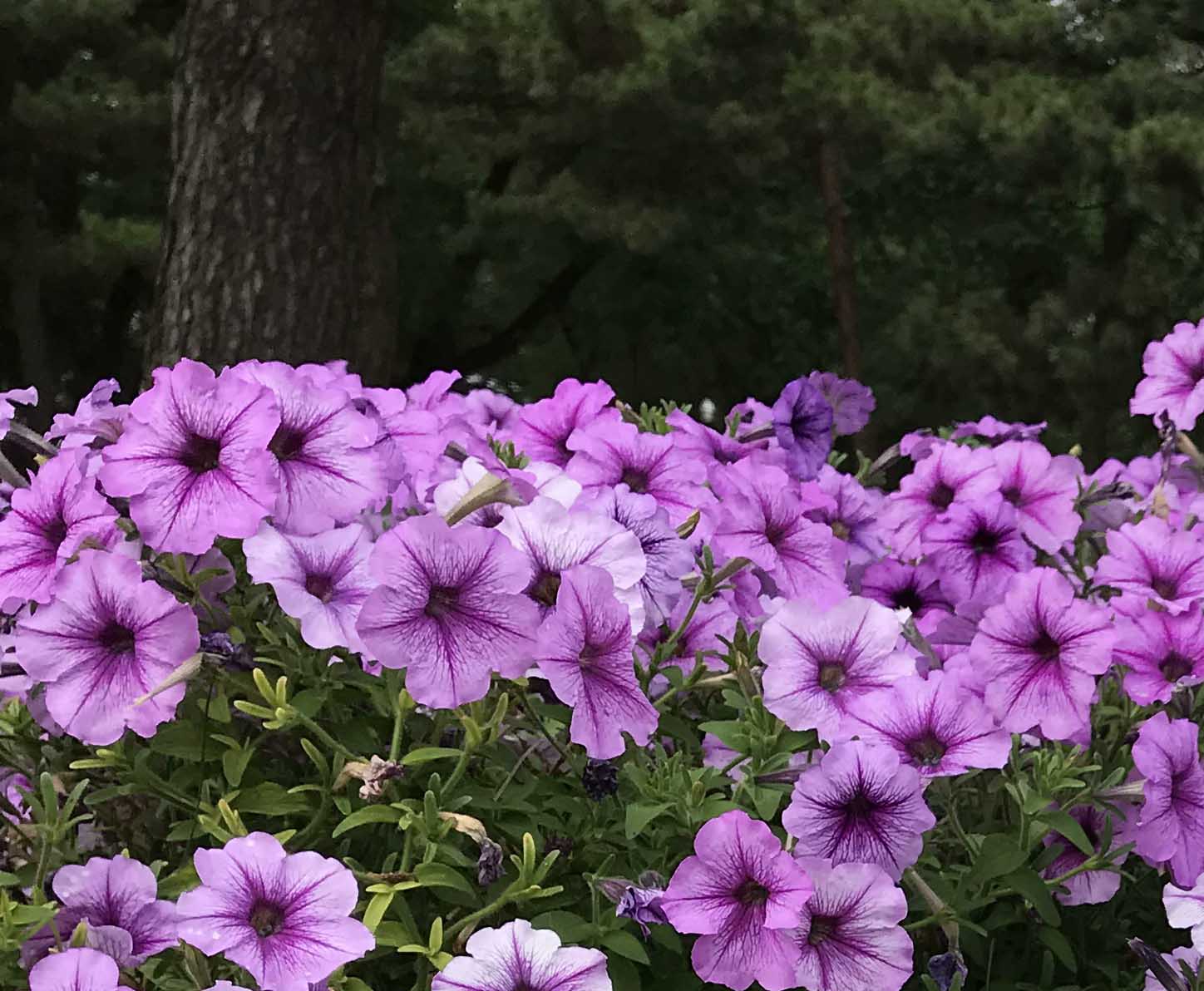 歲月長歌！